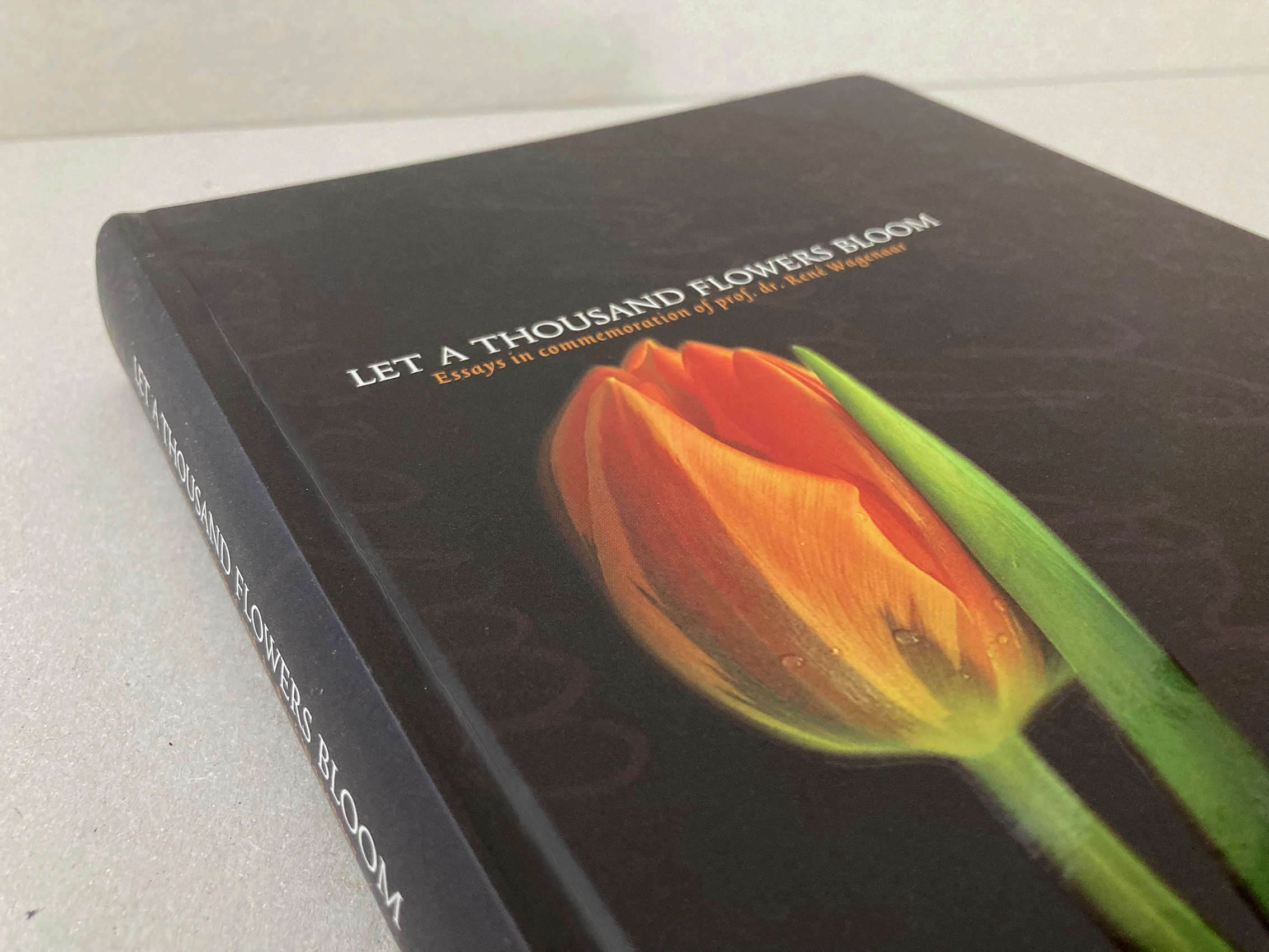Op de tulp is een spotvernis aangebracht om het contrast tussen de achtergrond en de bloem te versterken.